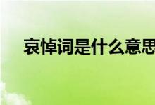 哀悼词是什么意思啊（adc是什么意思）