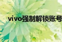 vivo强制解锁账号密码（vivo强制解锁）