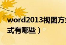 word2013视图方式有几种（word的视图方式有哪些）