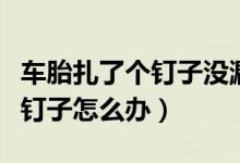 车胎扎了个钉子没漏气用不用拔（车胎扎了个钉子怎么办）