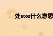 处exe什么意思（处eve什么意思）