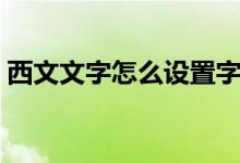 西文文字怎么设置字号（西文文字怎么设置）