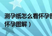 测孕纸怎么看怀孕图解弱阳性（测孕纸怎么看怀孕图解）