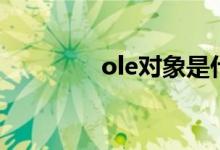 ole对象是什么（ole对象）