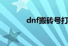 dnf搬砖号打造（dnf搬砖号）