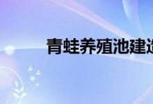 青蛙养殖池建造视频（青蛙养殖）