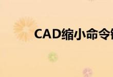 CAD缩小命令键（cad缩小命令）