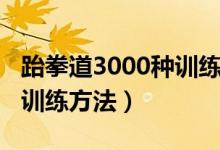 跆拳道3000种训练方法图解（跆拳道3000种训练方法）