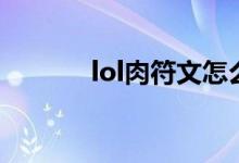 lol肉符文怎么配（lol肉符文）