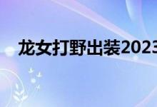 龙女打野出装2023手游（龙女打野出装）