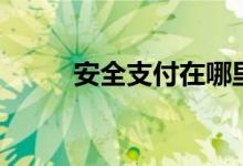 安全支付在哪里设置（安全支付）