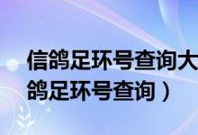 信鸽足环号查询大全2022-02-066798（信鸽足环号查询）