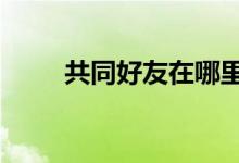 共同好友在哪里看QQ（共同好友）