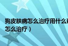 狗皮肤病怎么治疗用什么药 可以用人用药治疗吗（狗皮肤病怎么治疗）