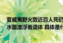 夏威夷野火致近百人死仍有上千人失联！遗骸“一碰就碎”水面漂浮着遗体 具体是什么情况?