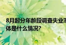 8月起分年龄段调查失业率将暂停发布！国家统计局解析 具体是什么情况?