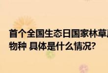 首个全国生态日国家林草局联合腾讯科普国家公园五大旗舰物种 具体是什么情况?