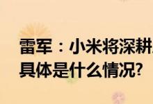 雷军：小米将深耕底层技术全面拥抱大模型 具体是什么情况?