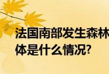 法国南部发生森林火灾 3000多人被疏散 具体是什么情况?