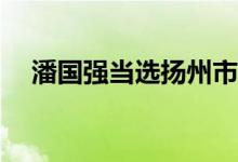 潘国强当选扬州市市长 具体是什么情况?