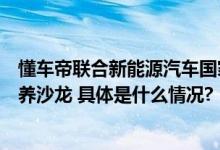 懂车帝联合新能源汽车国家大数据联盟举办智能网联人才培养沙龙 具体是什么情况?