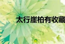 太行崖柏有收藏价值吗（太行崖柏）