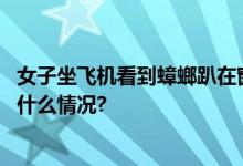 女子坐飞机看到蟑螂趴在窗外网友：果然是“小强” 具体是什么情况?