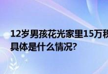 12岁男孩花光家里15万积蓄买玩具：偷偷用妈妈手机网购 具体是什么情况?