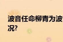 波音任命柳青为波音中国总裁 具体是什么情况?