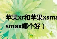 苹果xr和苹果xsmax哪个好一点（苹果xr和xsmax哪个好）