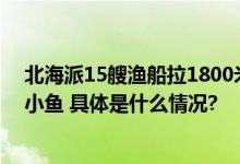 北海派15艘渔船拉1800米网搜捕咬人鱼：只捕捞到螃蟹和小鱼 具体是什么情况?