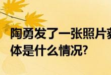 陶勇发了一张照片获赞超8万！网友：真好 具体是什么情况?