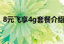 8元飞享4g套餐介绍（8元飞享套餐 全国版）