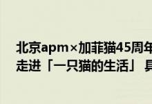 北京apm×加菲猫45周年潮流艺术全国首展“菲”凡暑期 走进「一只猫的生活」 具体是什么情况?