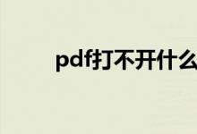 pdf打不开什么原因（pdf打不开）