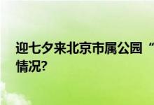 迎七夕来北京市属公园“打卡”37项游园活动 具体是什么情况?