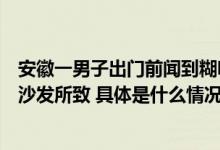 安徽一男子出门前闻到糊味回来家烧没了：充电宝短路引燃沙发所致 具体是什么情况?