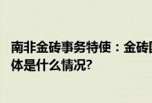 南非金砖事务特使：金砖国家已成为世界上一支重要力量 具体是什么情况?