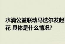 水滴公益联动马迭尔发起百年长青守护计划公益跨界破冰生花 具体是什么情况?