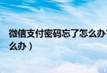 微信支付密码忘了怎么办?怎么找回?（微信支付密码忘了怎么办）