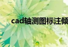 cad轴测图标注倾斜角度（cad轴测图）