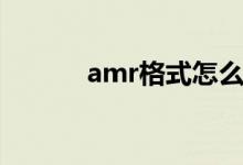 amr格式怎么播放（amr格式）