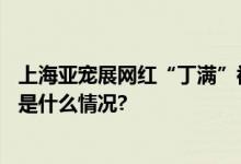 上海亚宠展网红“丁满”被偷？商家澄清：是误会…… 具体是什么情况?