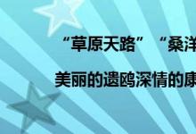 “草原天路”“桑洋水路”全媒体采访行|美丽的遗鸥深情的康巴诺尔 具体是什么情况?