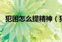 犯困怎么提精神（犯困时最好的提神方法）