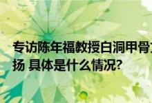 专访陈年福教授白洞甲骨文艺术展中的学术传承、创新与发扬 具体是什么情况?