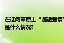 在辽阔草原上“邂逅爱情”到康保拥抱“草原天际线” 具体是什么情况?