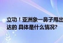 立功！亚洲象一鼻子甩出毒品2.8公斤网友：大象不是白溜达的 具体是什么情况?