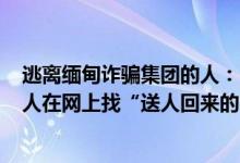 逃离缅甸诈骗集团的人：211高校毕业生没挨打被解救也有人在网上找“送人回来的团队” 具体是什么情况?