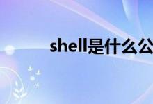 shell是什么公司（shell是什么）